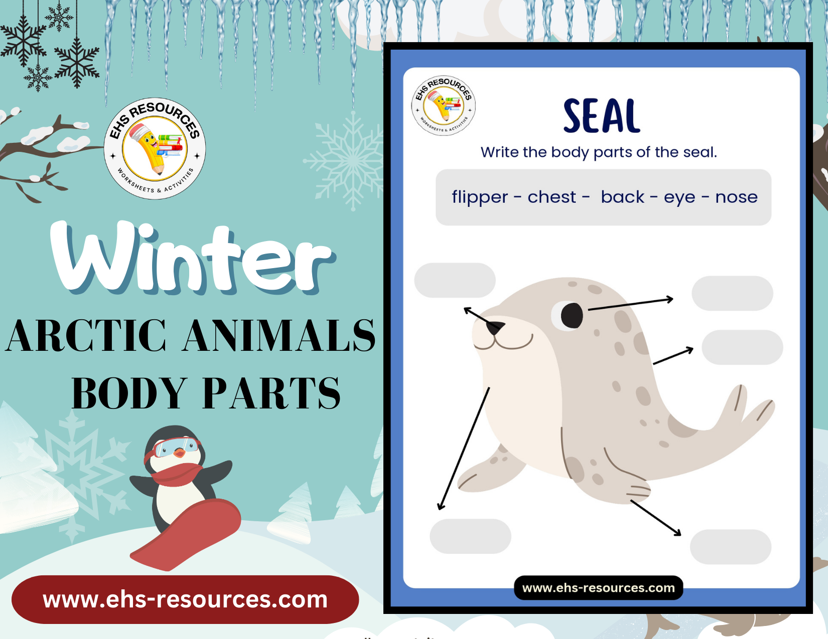 winter-arctic-animals-body-parts-seal
